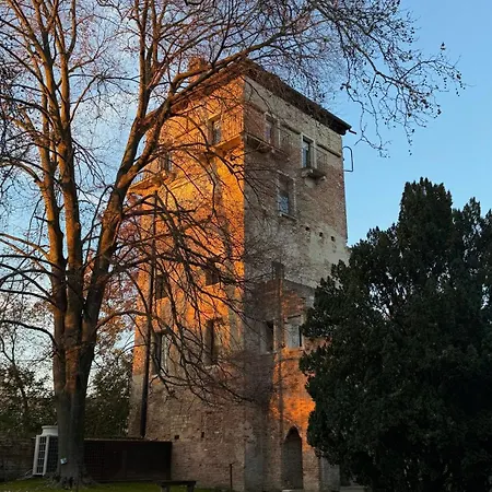 Massimago Wine Tower 4*